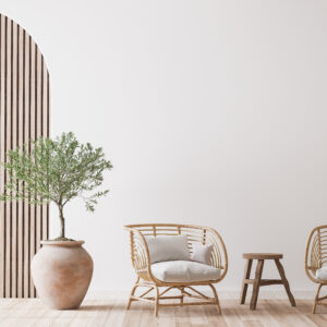 Furnitures & Decorations