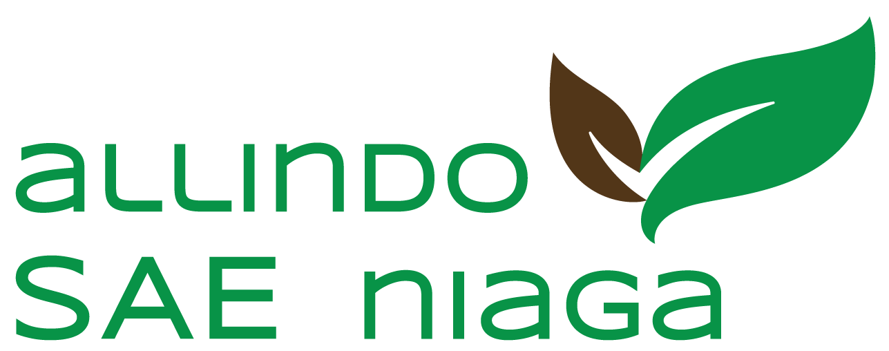 Allindo Sae Niaga